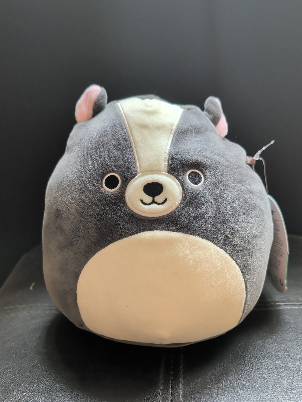 Squishmallows Skyler Black And White Skunk Collectible Plush Stuff Animal NWT 8"